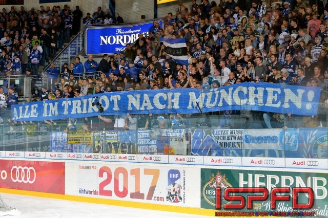 ISPFD_DEL_IN-Iserlohn-Fans-Ingolstadt-100